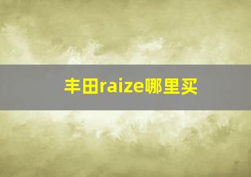 丰田raize哪里买