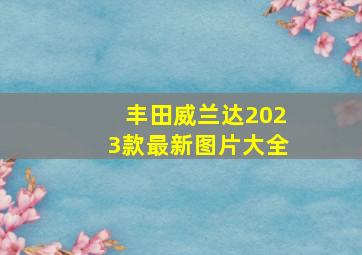 丰田威兰达2023款最新图片大全