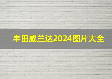 丰田威兰达2024图片大全