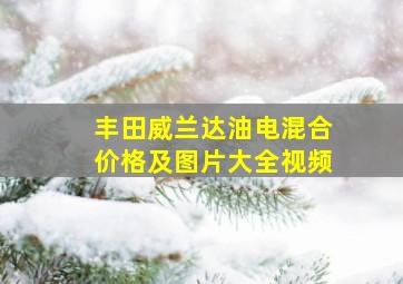 丰田威兰达油电混合价格及图片大全视频