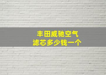 丰田威驰空气滤芯多少钱一个