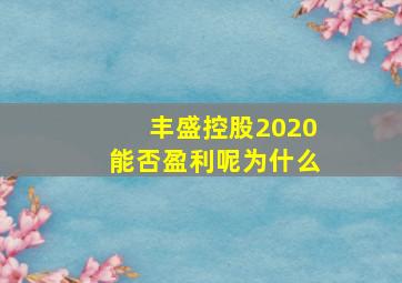 丰盛控股2020能否盈利呢为什么