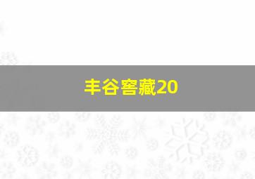 丰谷窖藏20