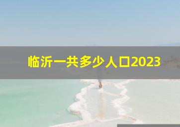 临沂一共多少人口2023