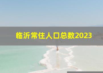 临沂常住人口总数2023