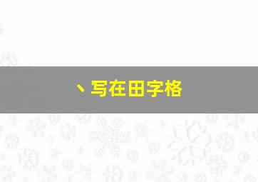 丶写在田字格