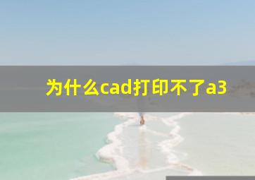 为什么cad打印不了a3