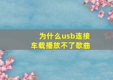 为什么usb连接车载播放不了歌曲