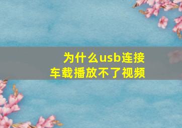 为什么usb连接车载播放不了视频