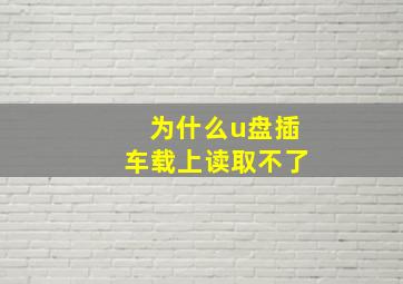 为什么u盘插车载上读取不了