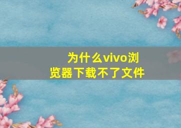 为什么vivo浏览器下载不了文件