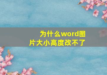 为什么word图片大小高度改不了