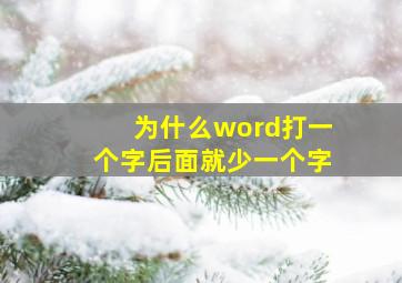 为什么word打一个字后面就少一个字