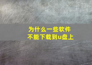 为什么一些软件不能下载到u盘上