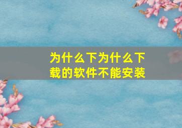 为什么下为什么下载的软件不能安装