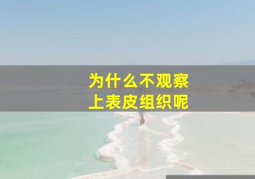 为什么不观察上表皮组织呢