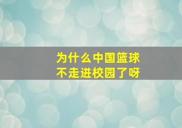 为什么中国篮球不走进校园了呀