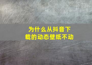 为什么从抖音下载的动态壁纸不动