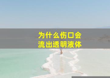 为什么伤口会流出透明液体