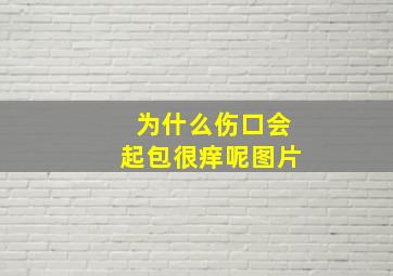 为什么伤口会起包很痒呢图片