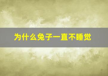 为什么兔子一直不睡觉