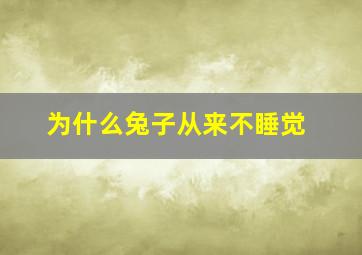 为什么兔子从来不睡觉