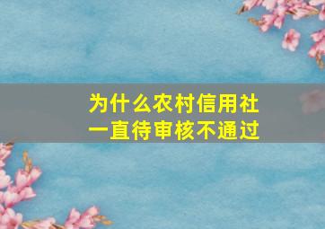 为什么农村信用社一直待审核不通过