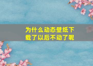 为什么动态壁纸下载了以后不动了呢