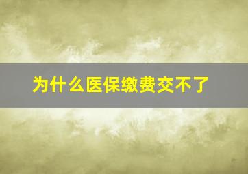 为什么医保缴费交不了