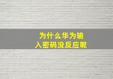 为什么华为输入密码没反应呢