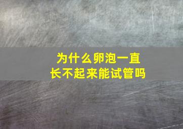 为什么卵泡一直长不起来能试管吗