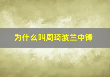 为什么叫周琦波兰中锋