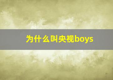 为什么叫央视boys