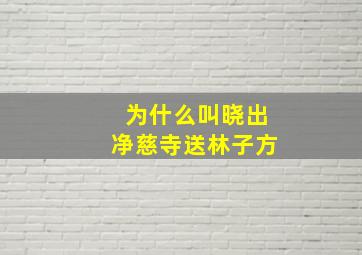 为什么叫晓出净慈寺送林子方