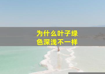 为什么叶子绿色深浅不一样