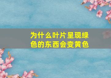 为什么叶片呈现绿色的东西会变黄色