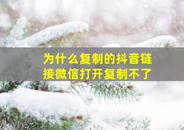 为什么复制的抖音链接微信打开复制不了