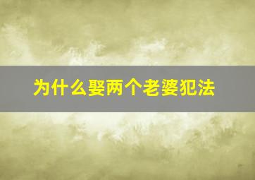 为什么娶两个老婆犯法