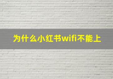 为什么小红书wifi不能上