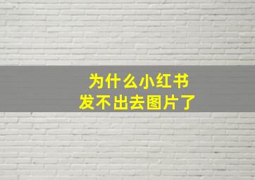 为什么小红书发不出去图片了