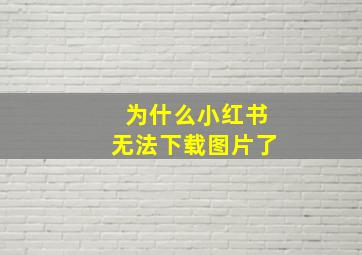 为什么小红书无法下载图片了