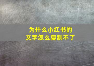 为什么小红书的文字怎么复制不了