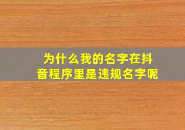 为什么我的名字在抖音程序里是违规名字呢