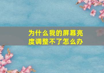 为什么我的屏幕亮度调整不了怎么办