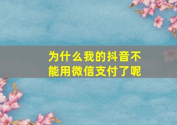 为什么我的抖音不能用微信支付了呢