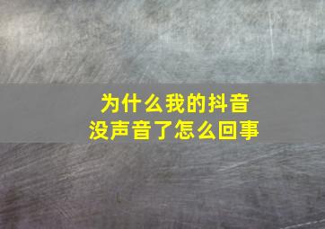 为什么我的抖音没声音了怎么回事