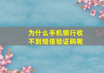 为什么手机银行收不到短信验证码呢