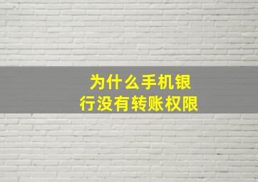 为什么手机银行没有转账权限