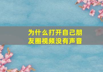 为什么打开自己朋友圈视频没有声音