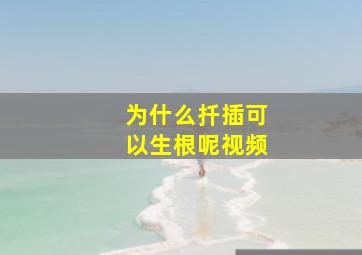 为什么扦插可以生根呢视频